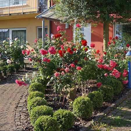 Ferienhaus Schloss-Garten Kapellen-Drusweiler Екстер'єр фото