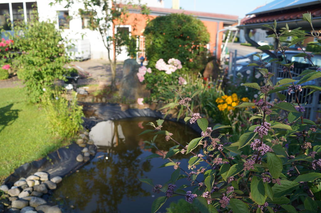 Ferienhaus Schloss-Garten Kapellen-Drusweiler Екстер'єр фото